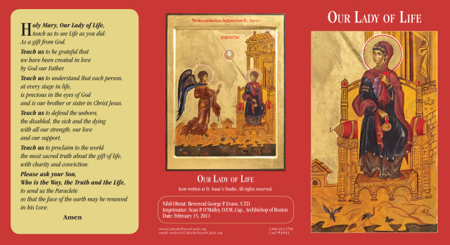 Our Lady of Life Tri-fold Prayer Card (English/Spanish)